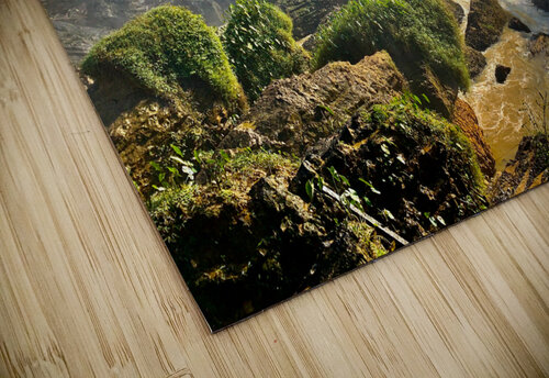 Around Elephant Waterfalls Jimmy Roy Photos puzzle