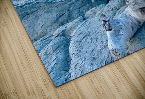 Bird Shaped Wood in Front of the Ocean Jimmy Roy Photos puzzle