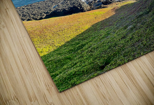 Beautiful Ocean Jimmy Roy Photos puzzle