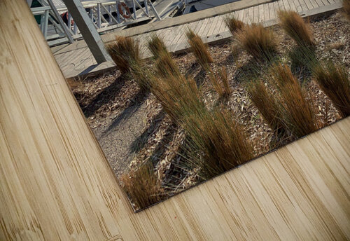 Boats at the Marina Jimmy Roy Photos puzzle