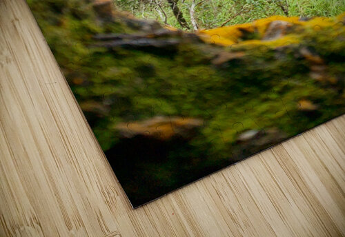 Nature Through the Hole Jimmy Roy Photos puzzle