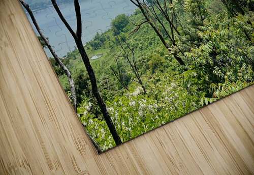 Mountains Behind the Branches Jimmy Roy Photos puzzle