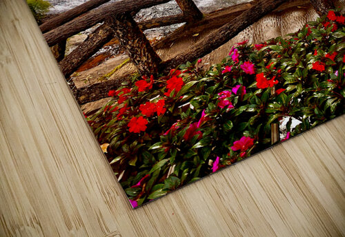 Waterfall and Red Flowers Jimmy Roy Photos puzzle