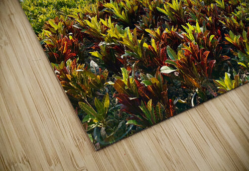 Wat Ratchanatdaram Worawihan 2 Jimmy Roy Photos puzzle