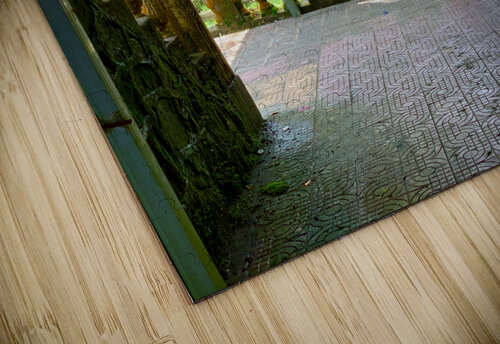 Monk Life Jimmy Roy Photos puzzle