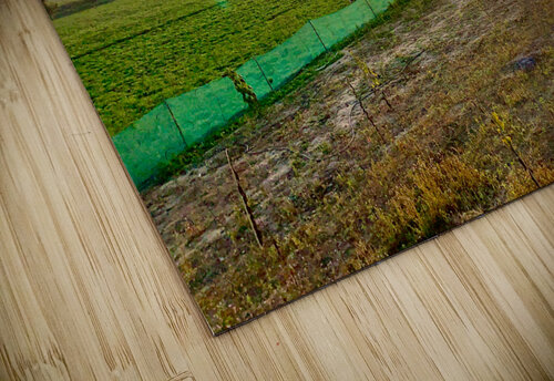 Sunset Over the Field by the Temple Jimmy Roy Photos puzzle