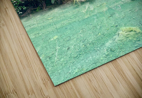 Jungle Green Jimmy Roy Photos puzzle