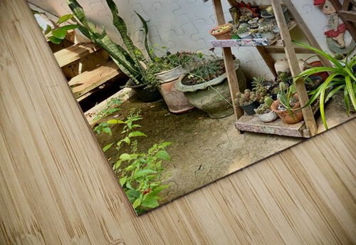 Hippie House Jimmy Roy Photos puzzle