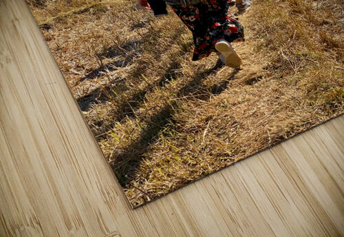 Follow the Path Jimmy Roy Photos puzzle