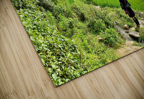 Looking Over the Rice Fields Jimmy Roy Photos puzzle