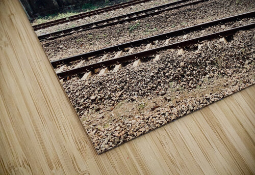 Living by the Railroad Jimmy Roy Photos puzzle