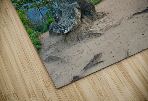 Mountain Path Jimmy Roy Photos puzzle