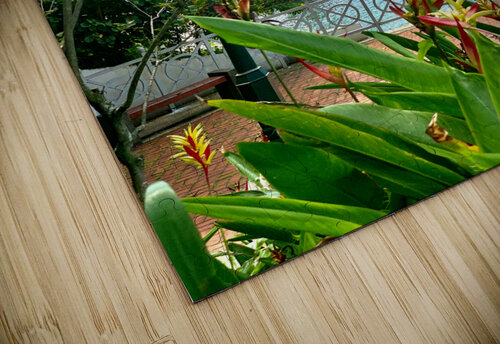 The Pink Train Jimmy Roy Photos puzzle