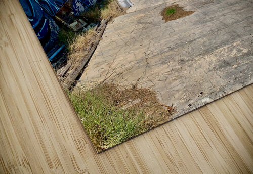 Graffiti Beach Jimmy Roy Photos puzzle