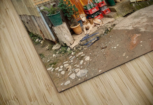 Beautiful Wooden House Jimmy Roy Photos puzzle