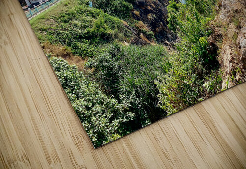 Beaufiful View Jimmy Roy Photos puzzle