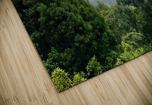 Foggy Forest Jimmy Roy Photos puzzle