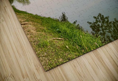 Temple Reflections Jimmy Roy Photos puzzle