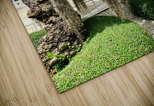 Heads Hanging Jimmy Roy Photos puzzle