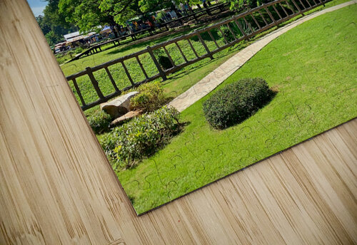 Giant Raintree 2 Jimmy Roy Photos puzzle