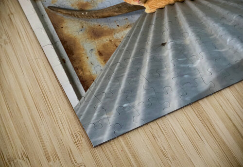 A Cat with Horns Jimmy Roy Photos puzzle