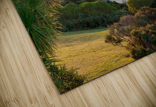 Stunning Sunset 1 Jimmy Roy Photos puzzle