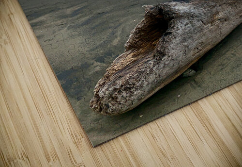 Nice Log on Black Sand Jimmy Roy Photos puzzle