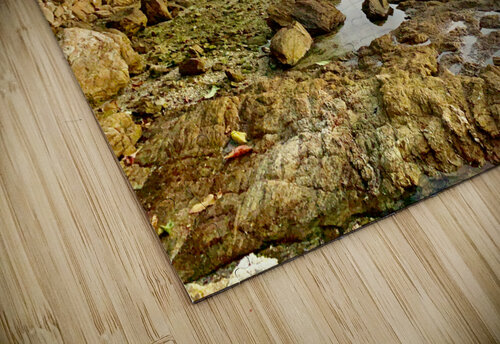 Rocky Beach at Sunset Jimmy Roy Photos puzzle