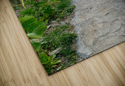 Walking to the Sunset Jimmy Roy Photos puzzle