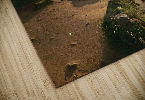 Sunrise on Top of Sigiriya Sri Lanka 10 Jimmy Roy Photos puzzle