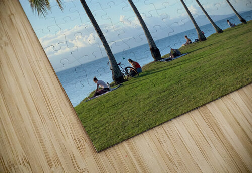 Let s Chill Under the Palm Trees Jimmy Roy Photos puzzle