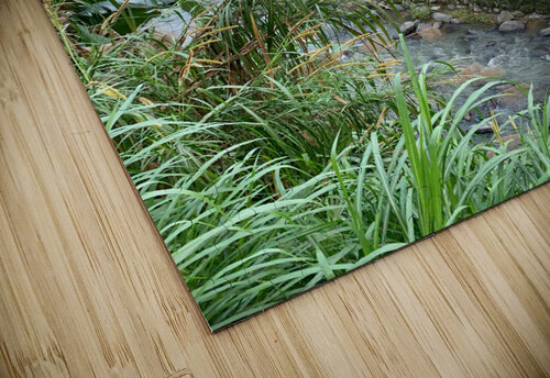 Blue House by the River 1 Jimmy Roy Photos puzzle