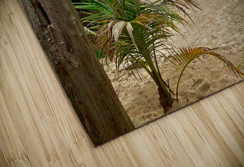 A Peak at the Beach Jimmy Roy Photos puzzle