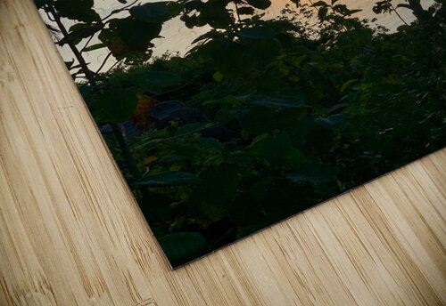 Calm Sunset Jimmy Roy Photos puzzle