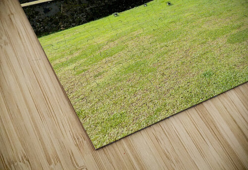 Fortress Wall Jimmy Roy Photos puzzle