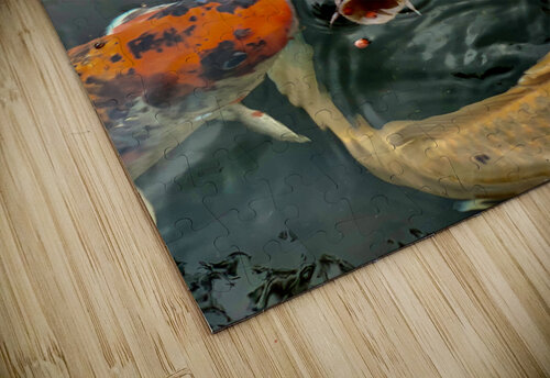 Plenty of Colorful Fish Jimmy Roy Photos puzzle