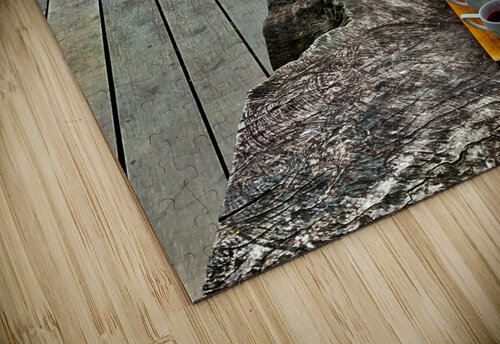 Tea Tasters Jimmy Roy Photos puzzle