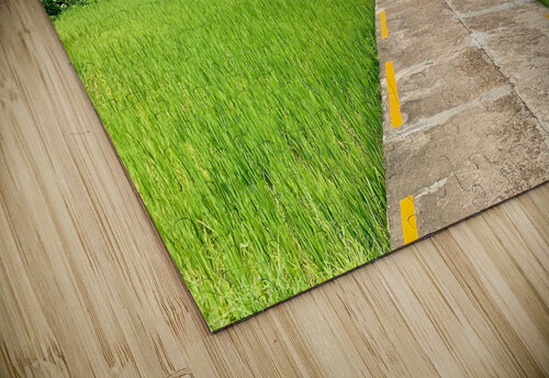 Don Khon Island Temple Laos Jimmy Roy Photos puzzle