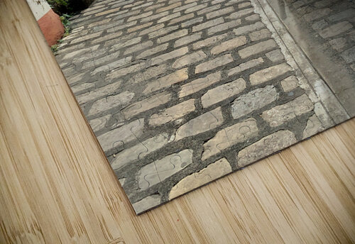 Horse Around Vigan Philippines Jimmy Roy Photos puzzle