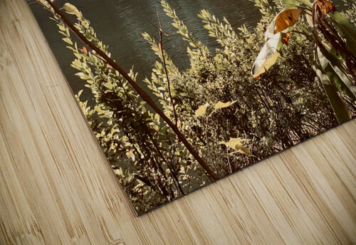 Pagoda on the Lake Vietnam Jimmy Roy Photos puzzle