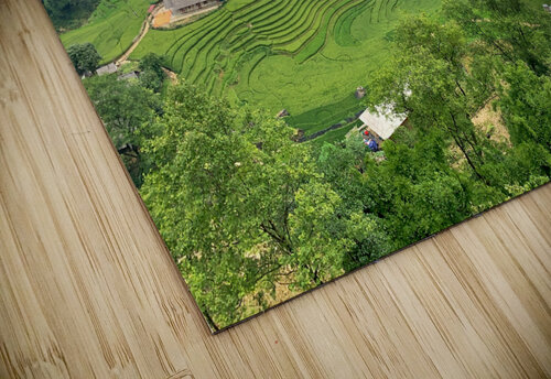 Villages in the Rice Fields Jimmy Roy Photos puzzle