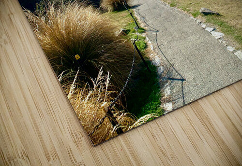 The Path to the Amazing Sky Jimmy Roy Photos puzzle