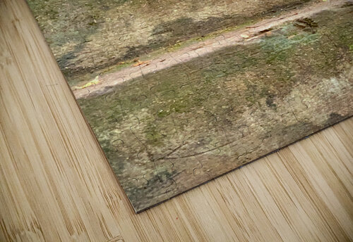 Bird Climbing the Stairs Jimmy Roy Photos puzzle