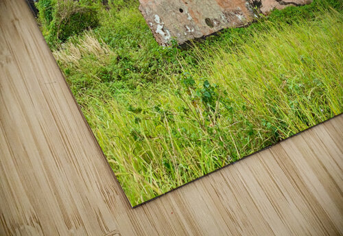 Abandoned Building in Bokor Cambodia Jimmy Roy Photos puzzle