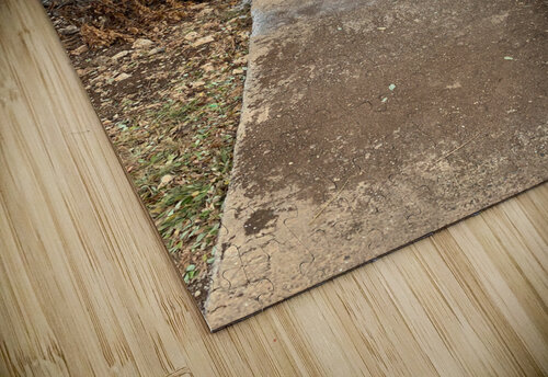 Cycling Up the Hill Jimmy Roy Photos puzzle