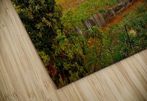 Gardens Mountains  Sunset Jimmy Roy Photos puzzle