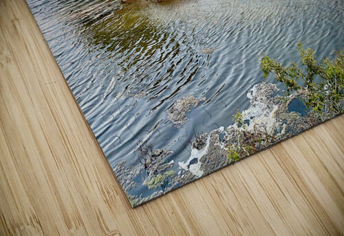 Mini Island Jimmy Roy Photos puzzle