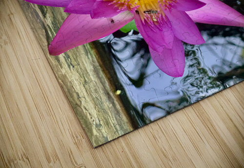 Purple Flower Jimmy Roy Photos puzzle