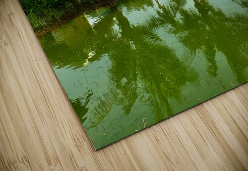 Palm Tree Trio Reflections Jimmy Roy Photos puzzle