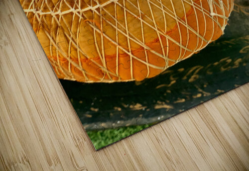 The Gong Jimmy Roy Photos puzzle